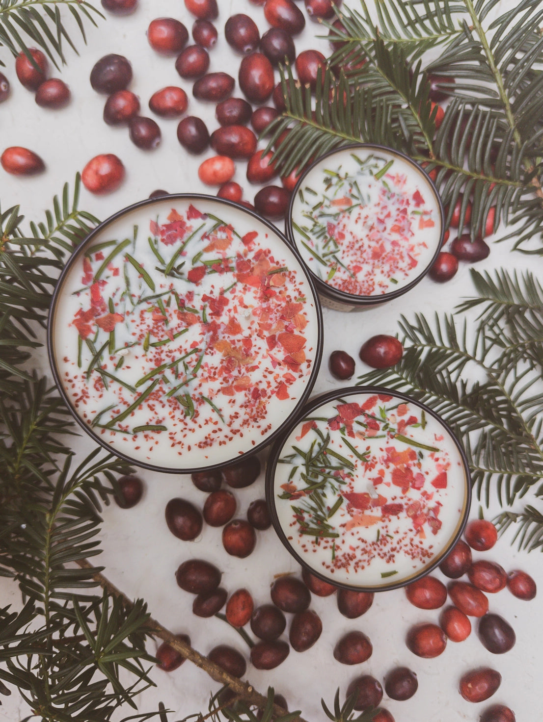 Gather Here Cranberry Pine Soy Tin Candle Rose Petal Yew