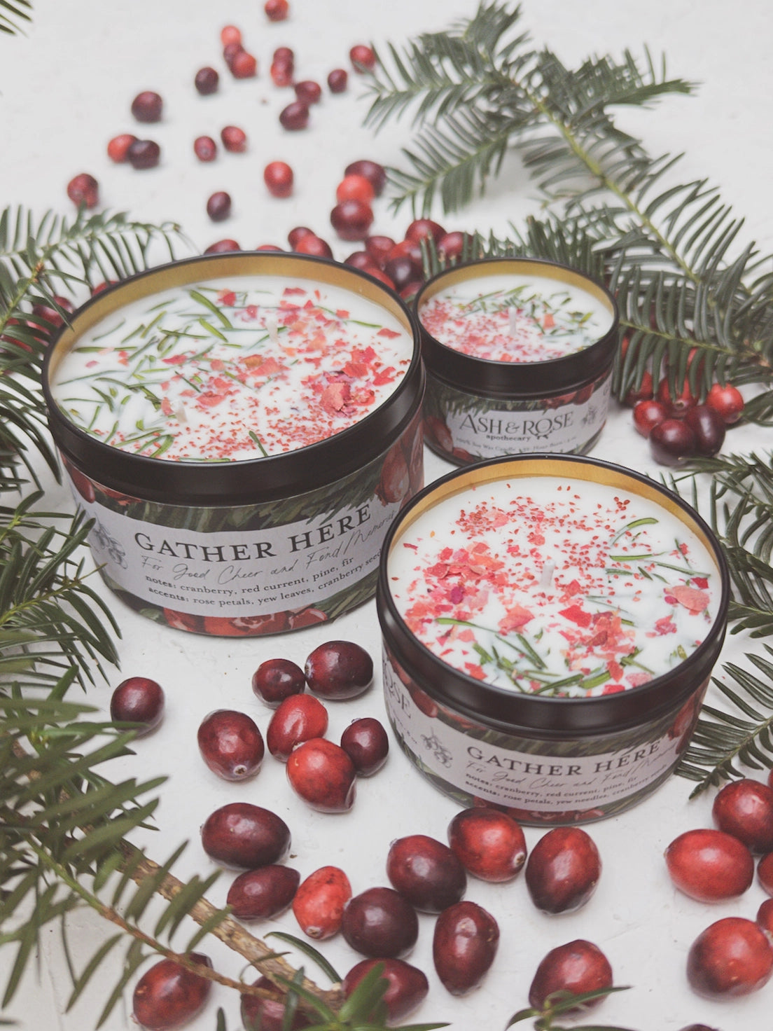 Gather Here Cranberry Pine Soy Tin Candle Rose Petal Yew.