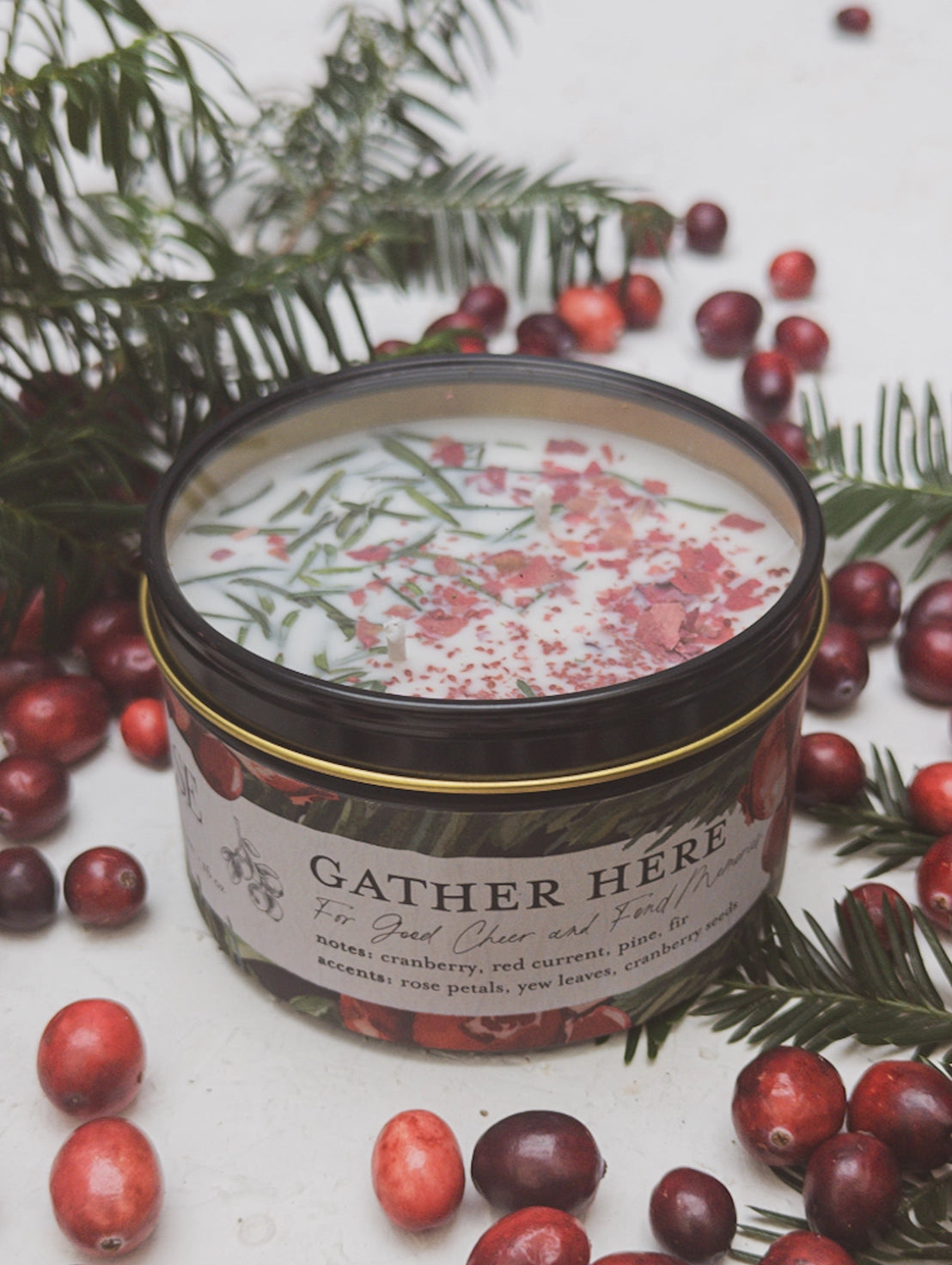 Gather Here Cranberry Pine Soy Tin Candle Rose Petal Yew.