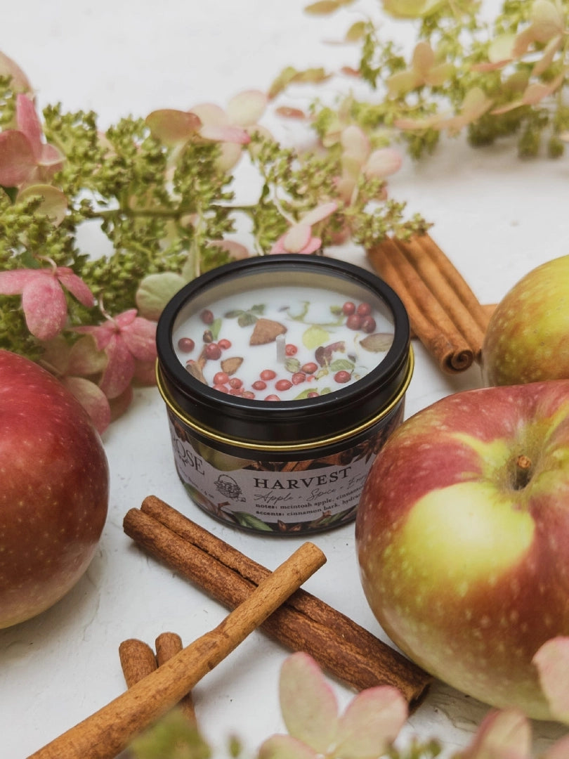 Candle - Harvest : Apple + Spice